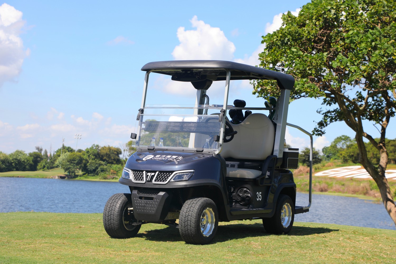 tara golf cart custom case4