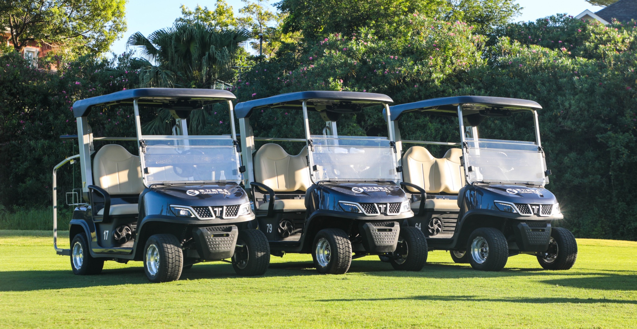 https://www.taragolfcart.com/harmony-fleet-golf-cart-product/