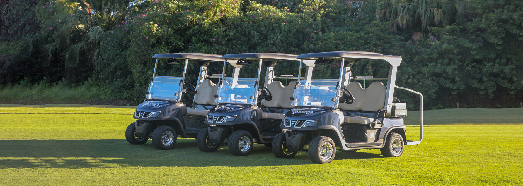 tara golf cart fleet