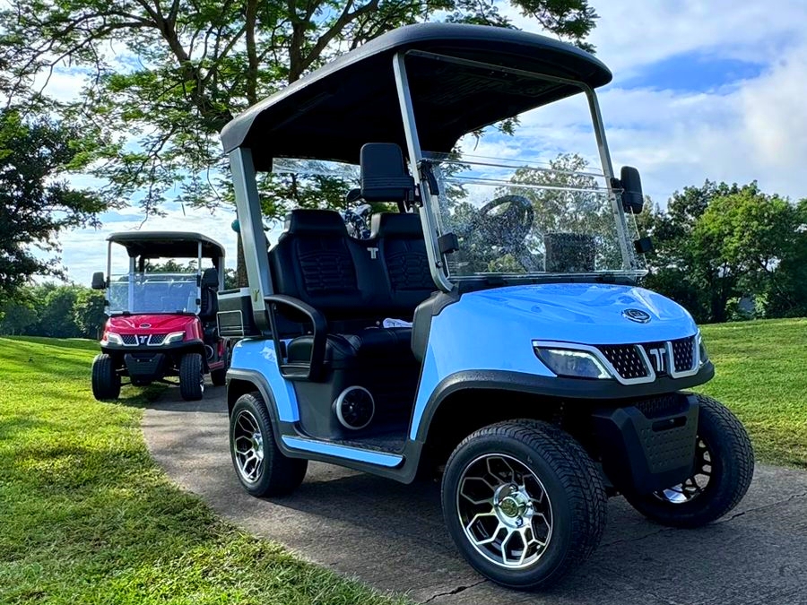 tara golf cart customer case